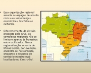Divisão Geoeconômica do Brasil (10)