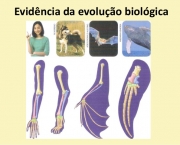 evolucao-biologica (11)
