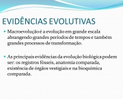 evolucao-biologica (15)