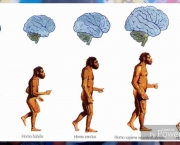 Evolucionismo Social (2)