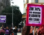 Feminismo no Brasil (10)