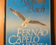 Fernão Capelo Gaivota (Richard Bach) (1)