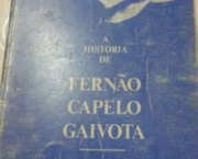 Fernão Capelo Gaivota (Richard Bach) (2)