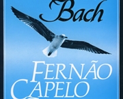 Fernão Capelo Gaivota (Richard Bach) (4)