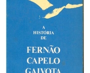 Fernão Capelo Gaivota (Richard Bach) (5)