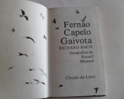 Fernão Capelo Gaivota (Richard Bach) (7)