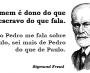 Freud e a Psicanálise (5)