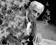 Georges Braque (16)