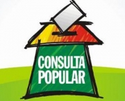 consulta-popular-2