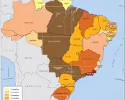 História dos Estados Brasileiros (9)
