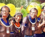 Indios Guarani (3)
