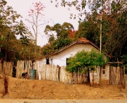 Cultura No Interior de Minas Gerais  (9)