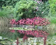 Jardim Monet (3)