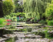 Jardim Monet (6)
