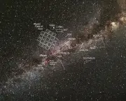 Leda e a Constelação de Cygnus (2)