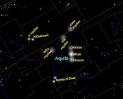 Leda e a Constelação de Cygnus (3)