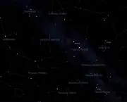 Leda e a Constelação de Cygnus (4)