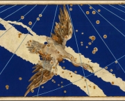 Leda e a Constelação de Cygnus (1)