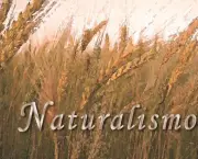 naturalismo-1-728