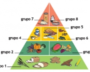 Pirâmide Alimentar Brasileira (3)