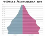 piramide-brasileira-2000
