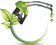 biocombustiveis