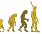 Quais as Bases e Concepções da Teoria Evolucionista da Antropologia (1)