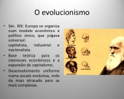 Quais as Bases e Concepções da Teoria Evolucionista da Antropologia (4)