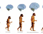 Quais as Bases e Concepções da Teoria Evolucionista da Antropologia (10)