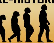 Quais as Bases e Concepções da Teoria Evolucionista da Antropologia (12)
