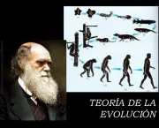 Quais as Bases e Concepções da Teoria Evolucionista da Antropologia (13)