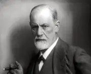 Quem Foi Sigmund Freud (2)