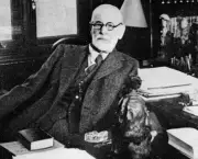 Quem Foi Sigmund Freud (5)