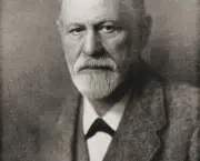 Quem Foi Sigmund Freud (6)