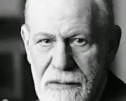 Quem Foi Sigmund Freud (14)