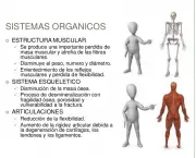 Sistemas Orgânicos na Biologia (1)