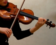 Violinos Stradivarius (2)
