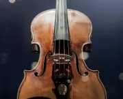 Violinos Stradivarius (13)