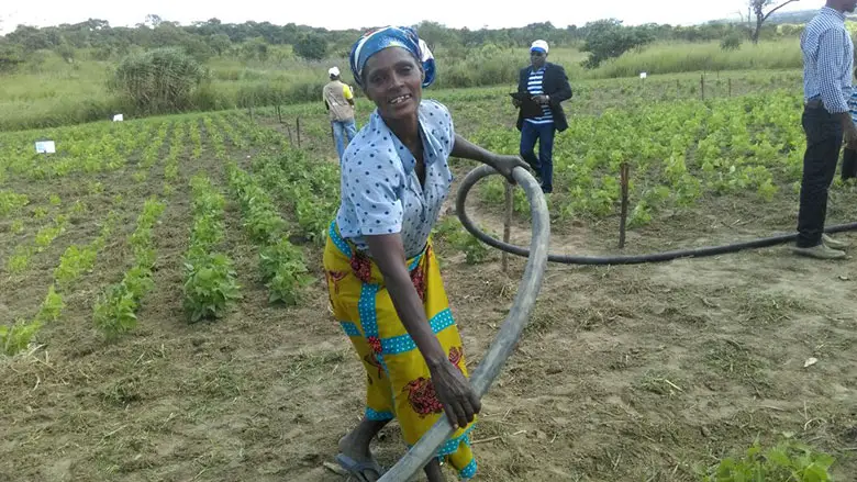 Agricultura na Angola