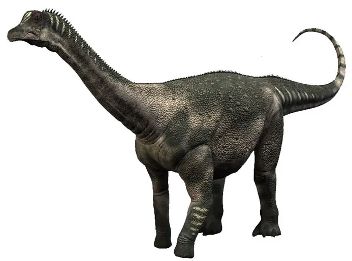 Antarctosaurus Brasiliensis