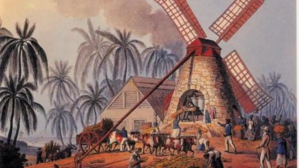 Cana de Açúcar no Brasil Colonial  